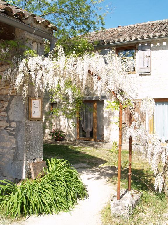 La Vayssade - Maison d'Hôtes - Jacuzzi, Piscine&Truffes Lalbenque Esterno foto