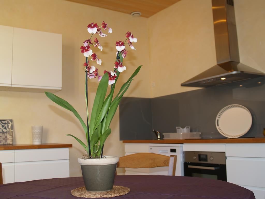 La Vayssade - Maison d'Hôtes - Jacuzzi, Piscine&Truffes Lalbenque Esterno foto