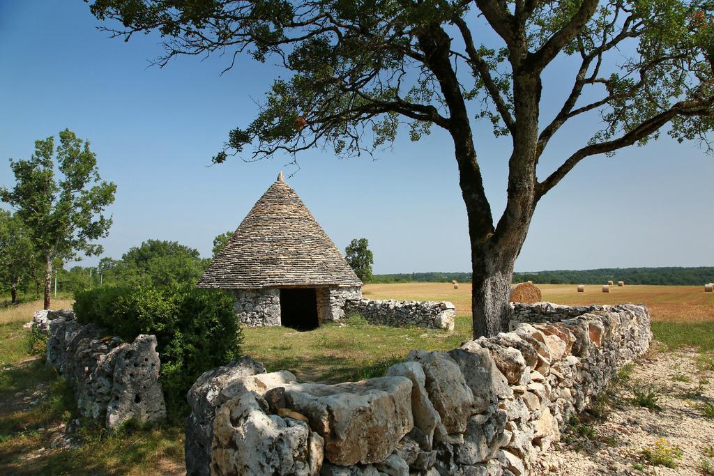 La Vayssade - Maison d'Hôtes - Jacuzzi, Piscine&Truffes Lalbenque Esterno foto